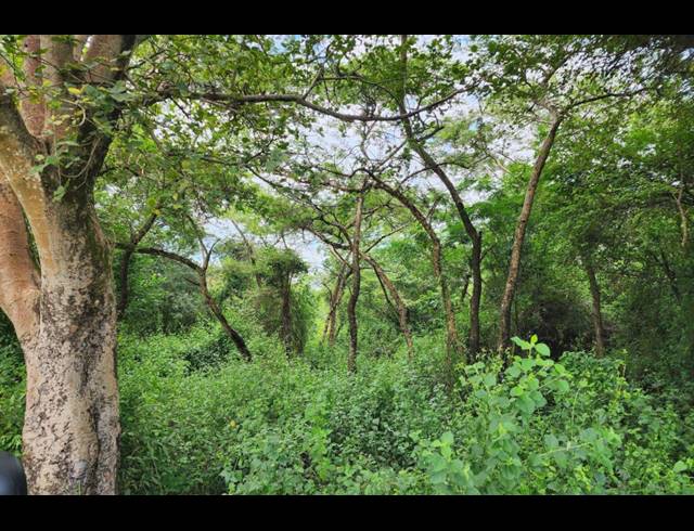 742,854M² FARM FOR SALE IN LEVUBU